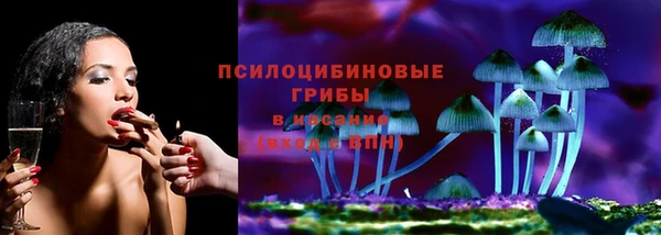 хмурый Богородицк