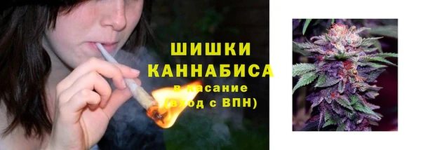 хмурый Богородицк