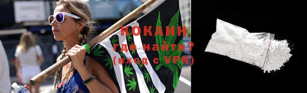 mdpv Богородск