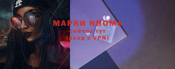 хмурый Богородицк