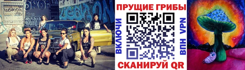 закладки  Киселёвск  Галлюциногенные грибы мухоморы 
