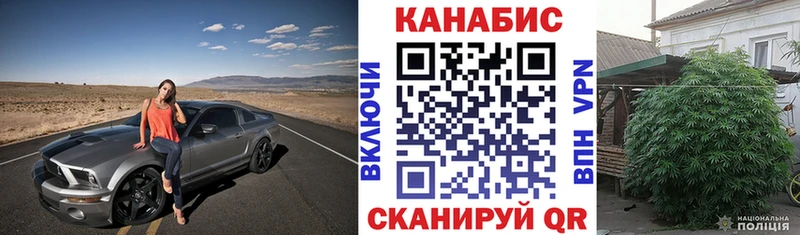 Шишки марихуана индика дарнет шоп Киселёвск